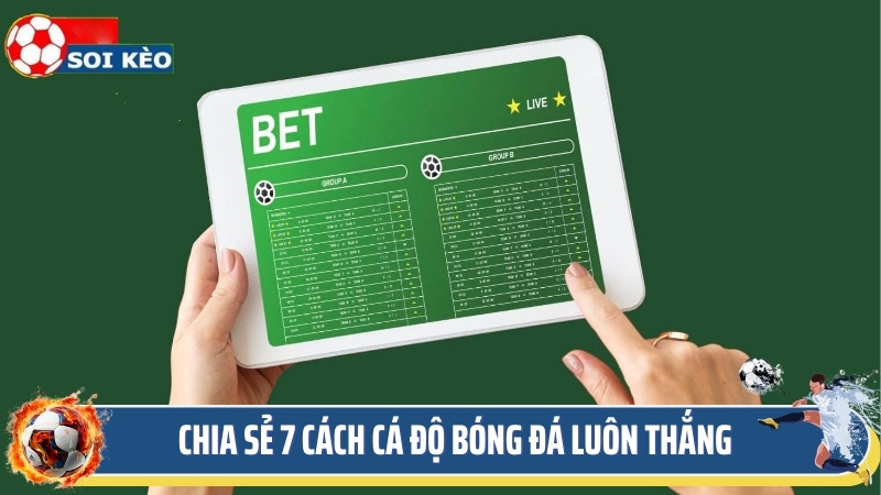 Chia sẻ 7 cách cá độ bóng đá luôn thắng