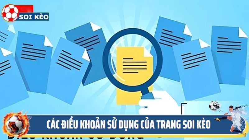 Các điều khoản sử dụng của trang soi kèo