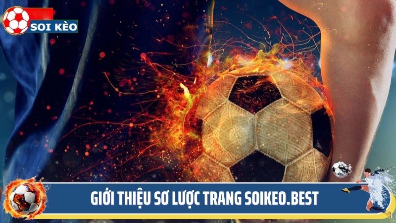 Giới thiệu sơ lược trang soi kèo online soikeo.best