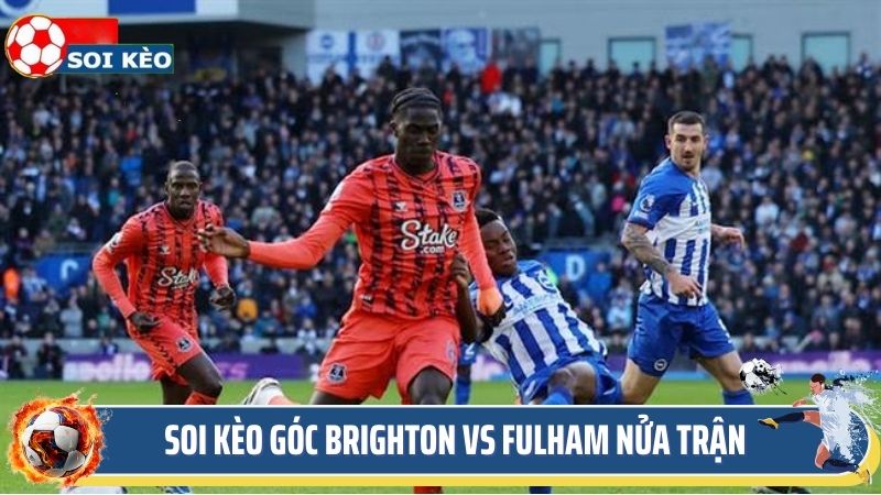 Chuyên gia soi kèo góc Brighton vs Fulham nửa trận